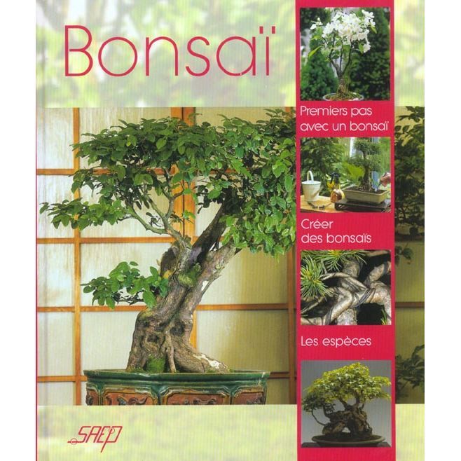 Bonsaï Achat / Vente livre Myriam Blanc Editions SAEP Parution 01/10/2001 pas cher Cdiscount
