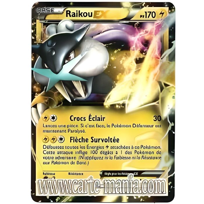 Carte Pokémon RAIKOU EX HOLO REVERSE 38-108 N & B EXPLORATEURS OBSCURS