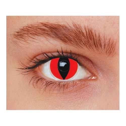 chat yeux rouge