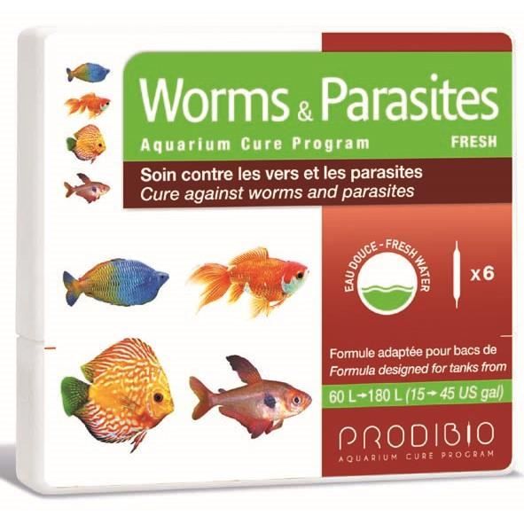 Des parasites les plus importants de la personne