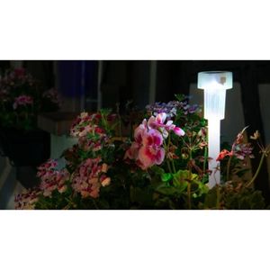 GALIX Lanterne solaire en plastique - Translucide