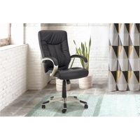 CHAISE DE BUREAU Fauteuil de bureau Manager