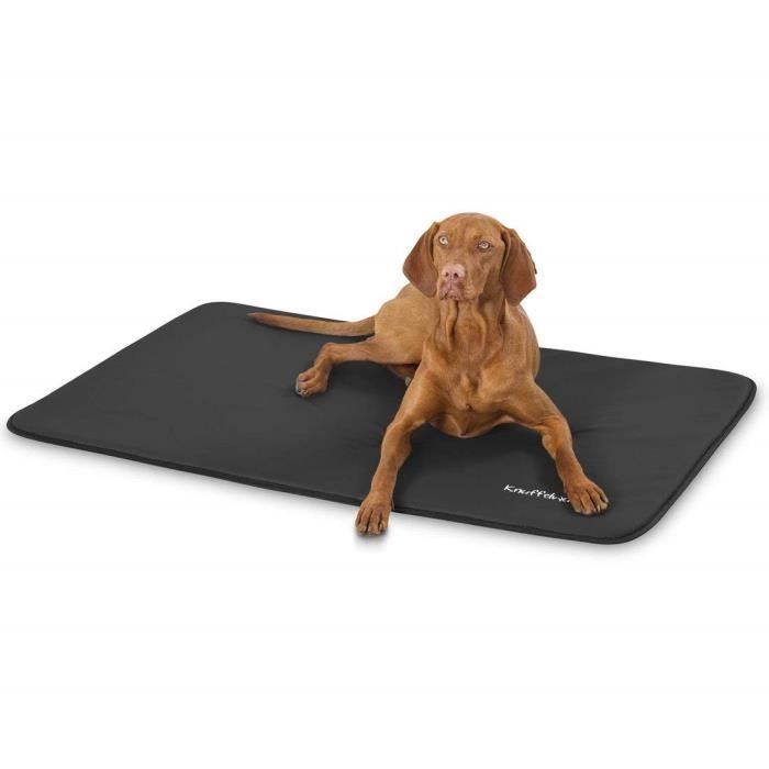 Tapis de chien - Ziloo.fr Tapis de chien - Ziloo.fr
