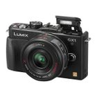  PANASONIC LUMIX GX1 + 14-42X 