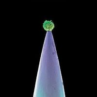 CD PETER GABRIEL - New Blood
