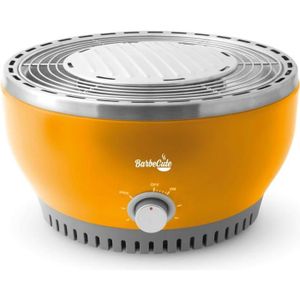 barbecue nomade charbon