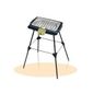 BARBECUE - PLANCHA TEFAL BG1225