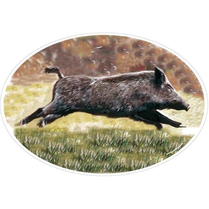 Sticker autocollant Sanglier - Achat / Vente décoration ...