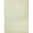 TAPIS - DESSOUS DE TAPIS Tapis DECO ivoire 160 x 230 cm