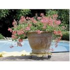 JARDINIERE - POT DE FLEUR - CACHE-POT COGEX Support pot bois rond