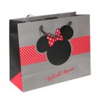 COFFRET JOUET  MINNIE Pochette cadeau
