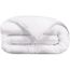 COUETTE Couette microfibre 300g 220x240cm