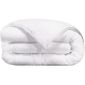 COUETTE Couette microfibre 300g 220x240cm