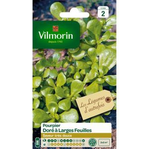 VILMORIN Pourpier doré ? large feuille