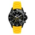 MONTRES ICE WATCH Montre Big Chrono Mixte
