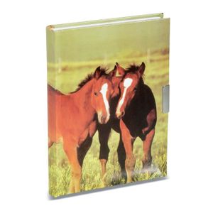 Journal Intime Miss Melody - Avec Cadenas Cœur, 192 Pages Illustrées, Motif Chevaux