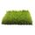 PROMOGAZON Gazon synthétique Botanic 35mm - 2x5m