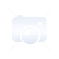 CARTE MERE MSI 7695-050R