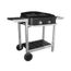 BARBECUE - PLANCHA Plancha gaz sur chariot Wissant 61 - 2 brûleurs
