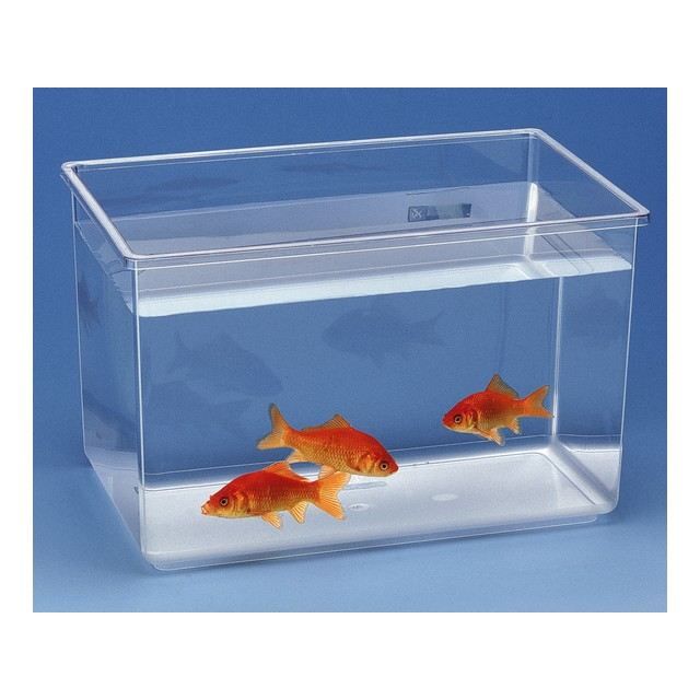 Aquarium Pour Poisson Nettuno H28 Achat Vente Aquarium Aquarium