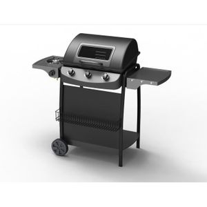 barbecue gaz wilton