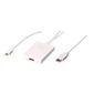 ADAPTATEUR AUDIO - VIDEO Lindy - 41026 - Câble adaptateur Mini-DP & USB