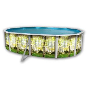 FOR?T Piscine en acier ovale 550x366x120