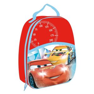Cars Sac isotherme