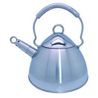 BOUILLOIRE NON ELECTRIQUE  Bouilloire retro en inox
