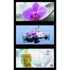 PUZZLE Puzzle Ambiance Zen - 3x500pcs