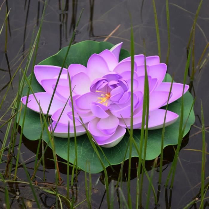 Nénuphar flottant pour bassin 28 cm - violet Violet - Achat / Vente ...