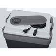 GLACIERE POUR VEHICULE Glacière thermoélectrique W24 20L - 12/230V