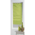 STORE DE FENETRE Store droit 180x45 cm AQUARELLA organza uni Vert