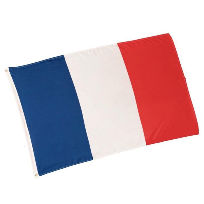 Drapeau France (90 x 150 cm) Achat / Vente drapeau banderole