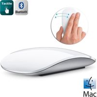 SOURIS Apple souris Magic Mouse Bluetooth MB829Z/A