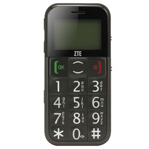 TELEPHONE PORTABLE ZTE S202 Noir
