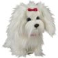 PORTEUR-POUSSEUR-DRAISIENNE-TRICYCLE Fluffy adorable petit chien dirigeable