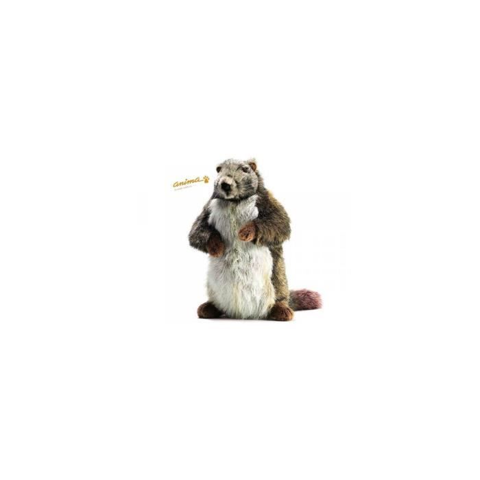 Peluche marmotte 25 cm Achat / Vente peluche Peluche marmotte 25 cm