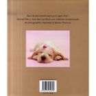 JEUNESSE ADOLESCENT BEBE CHIEN