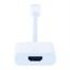 Urban Factory Adapt. mini-display - Port vers HDMI