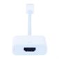 ADAPTATEUR AUDIO - VIDEO Urban Factory Adapt. mini-display - Port vers HDMI