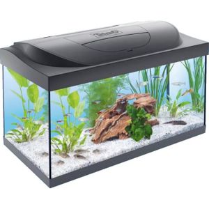 TETRA Aquarium Starter Line 54 L - 30x60x30 cm - Pour poissons tropicaux