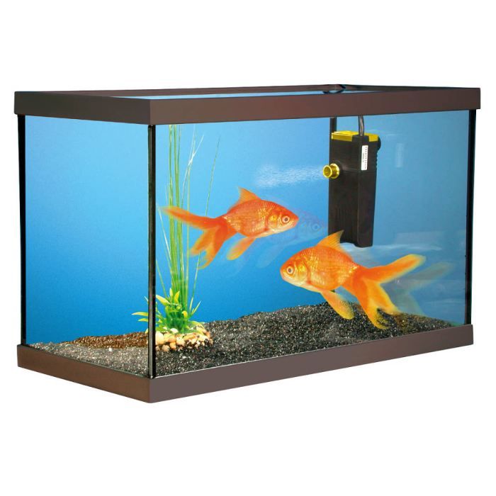 Aquarium kit poissons rouges 40x20x15cm Achat / Vente aquarium Aquarium kit poissons rouge