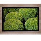  Garden 31 Paillasson Absorbant