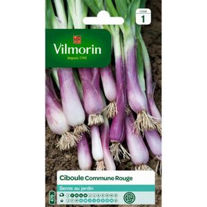 VILMORIN Ciboule commune rouge