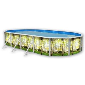 FOR?T Piscine ovale en acier 730x366x120cm