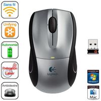 SOURIS Logitech Wireless Mouse M505 Silver
