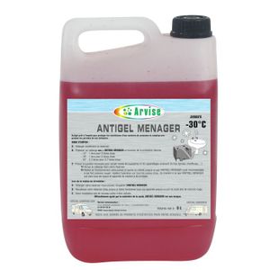 Bidon antigel 2L