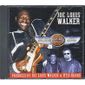 CD Guitar brothers
