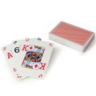 JEUX DE CARTE Copag Jeu de Poker Texas Hold’em